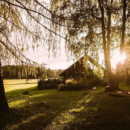 Wiesenhof Collalbo Exteriér fotografie