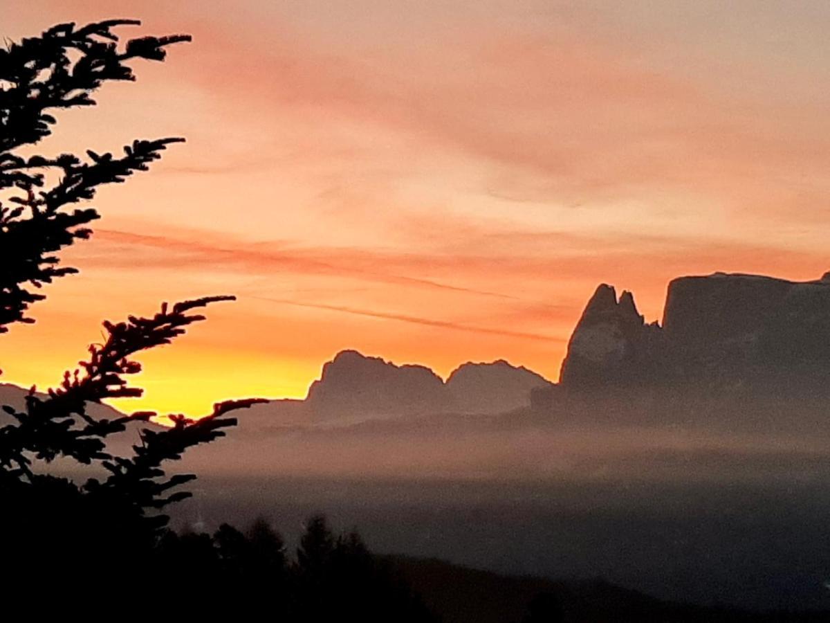 Wiesenhof Collalbo Exteriér fotografie