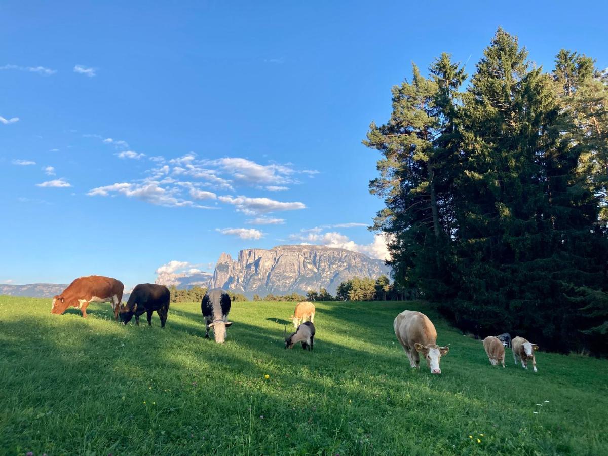 Wiesenhof Collalbo Exteriér fotografie