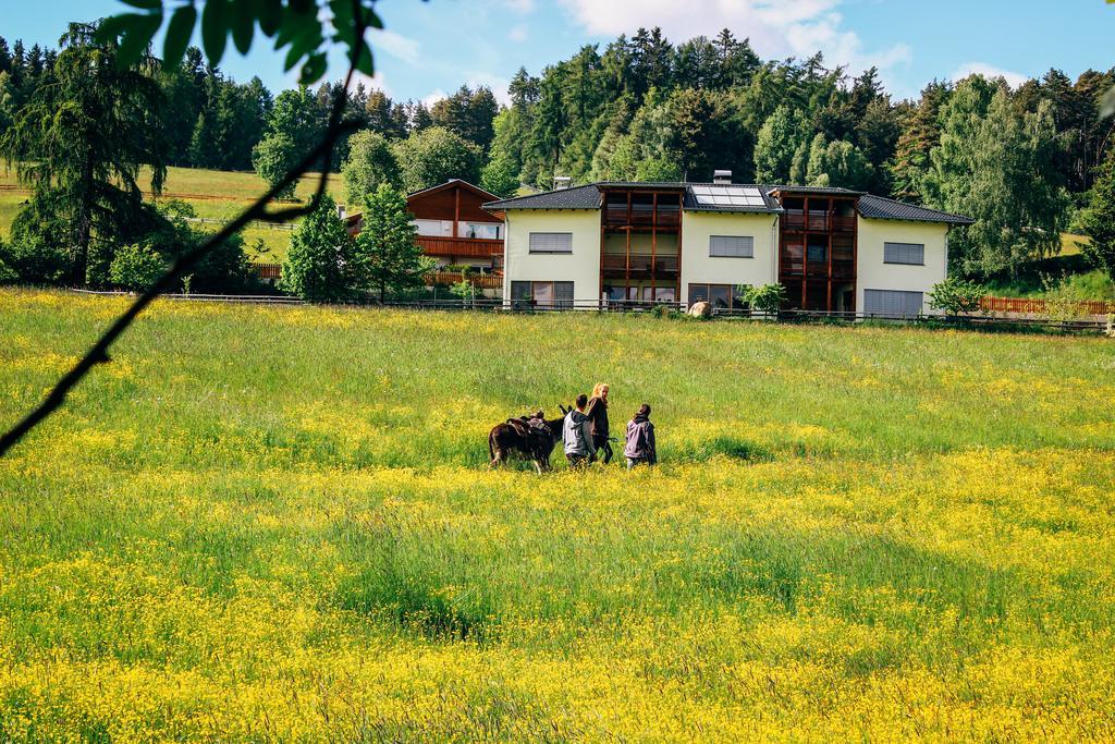 Wiesenhof Collalbo Exteriér fotografie